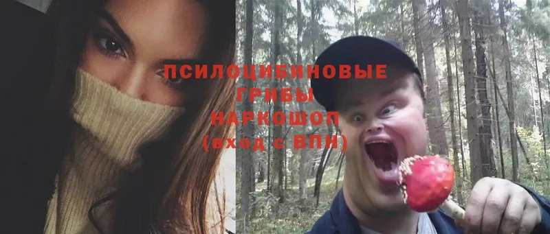 OMG рабочий сайт  Иланский  Галлюциногенные грибы ЛСД 